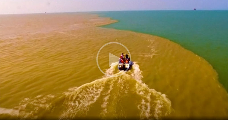 During Flood Season, the Yellow River Surges Into the Bohai Sea and It Looks Surreal